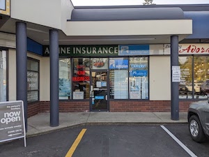 Alpione Insurance Agencies Ltd.